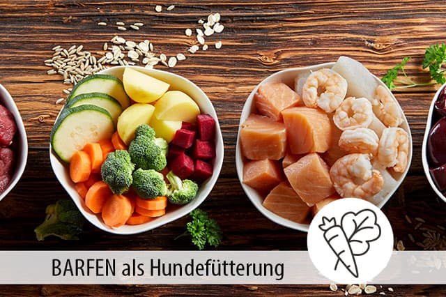BARF Hundefutter - Was es ist und wie man es richtig macht - Was ist BARF? Der ultimative BARF-Ratgeber