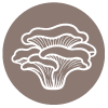 Vitalpilze