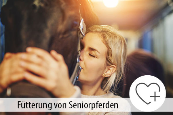 Die Fütterung von Seniorpferden - Die Fütterung von Seniorpferden - MIGOCKI Tierernährung