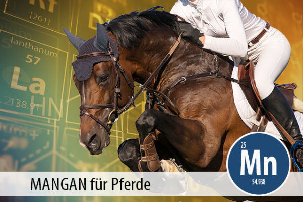 MANGAN für Pferde: ein unterschätztes Spurenelement - Mangan für Pferde - ein unterschätztes Spurenelement