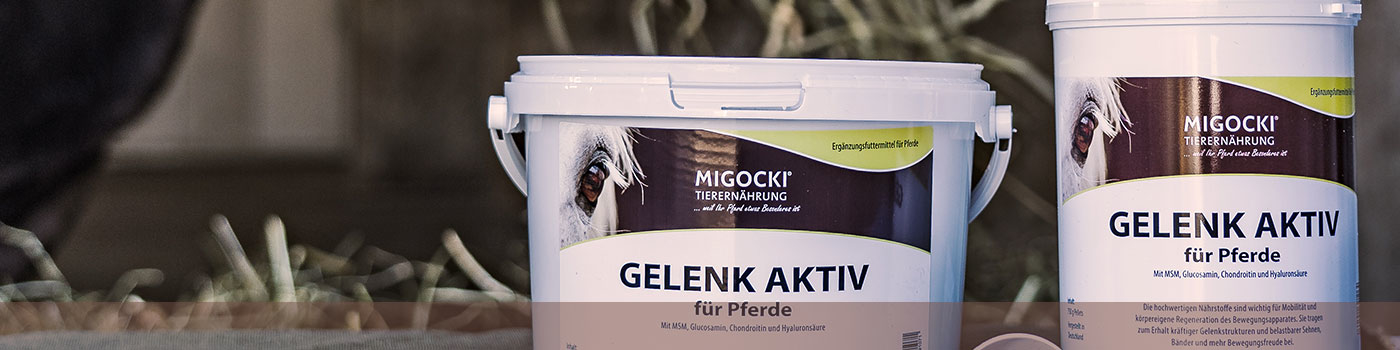 MIGOCKI Gelenk Aktiv für Pferde