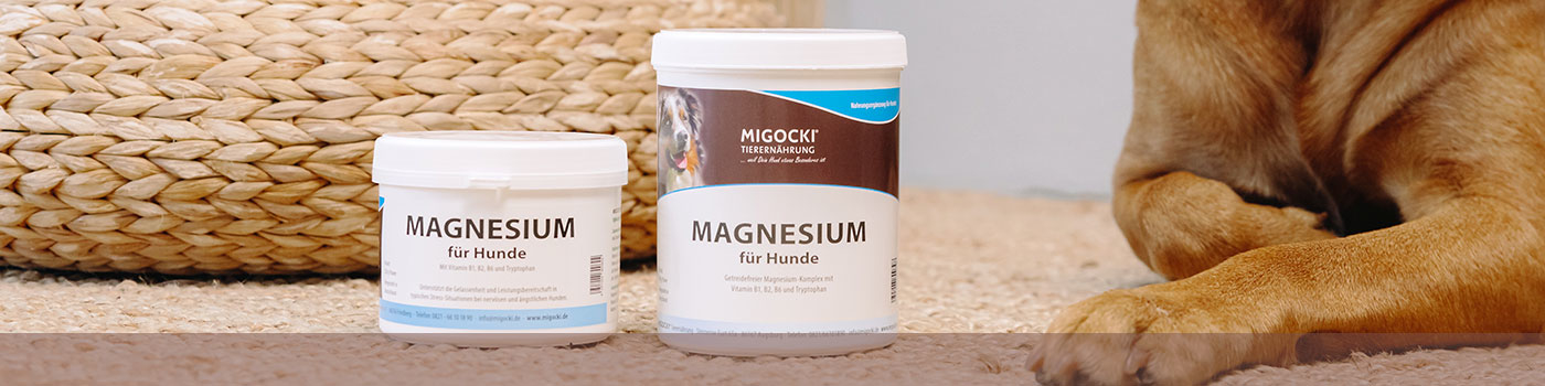 MIGOCKI Magnesium für Hunde Produktdose mit Hund im...