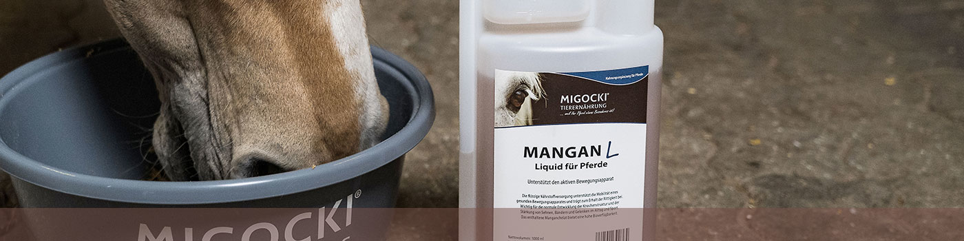 MIGOCKI Mangan Liquid für Pferde