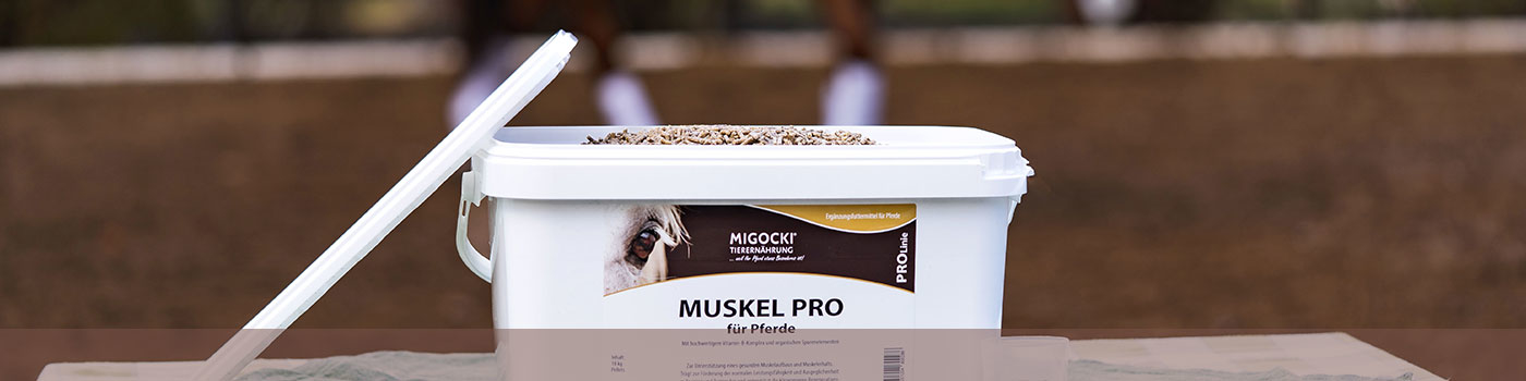 MIGOCKI Muskel Pro für Pferde