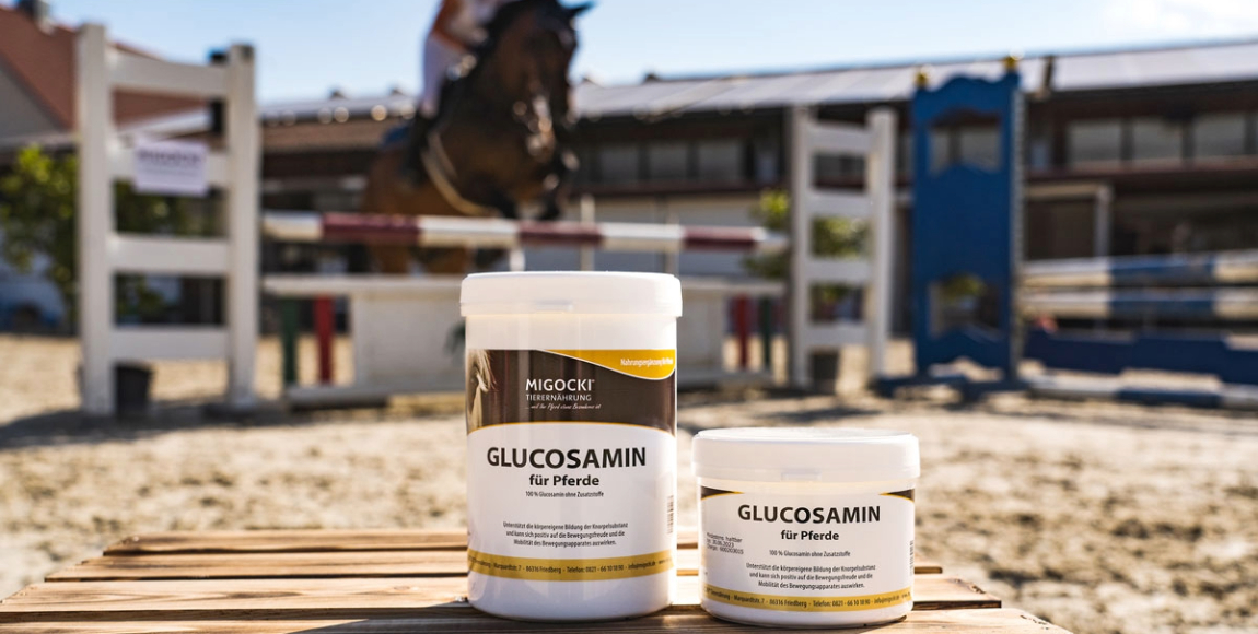 Glucosamin für Pferde
