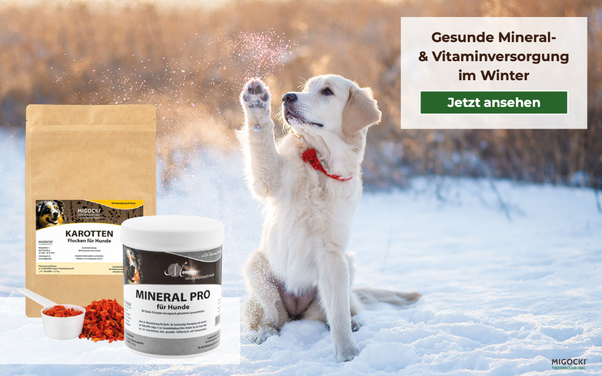 MIGOCKI Futterergänzung Hund Winter Mineral Vitamine