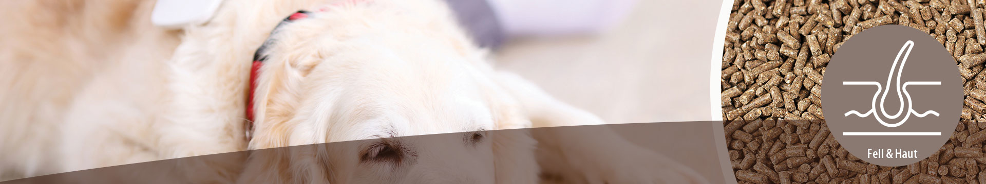 MIGOCKI Hundefutter Nahrungsergänzung Fell und Haut