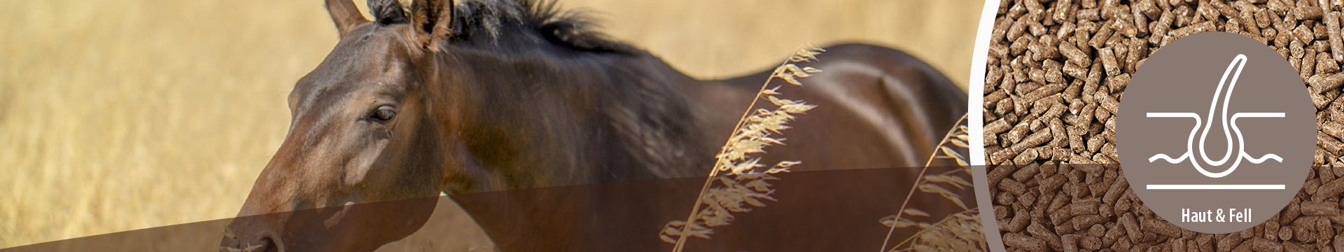 MIGOCKI Pferdefutter für Haut und Fell