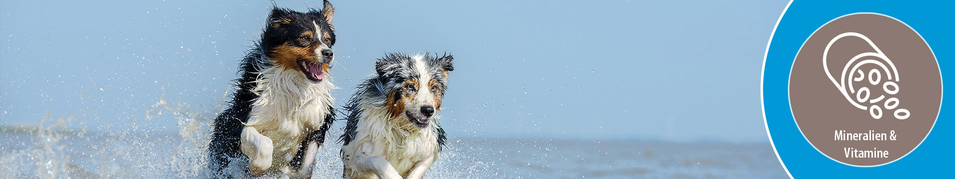 MIGOCKI Hundefutter Muskulatur und Nerven