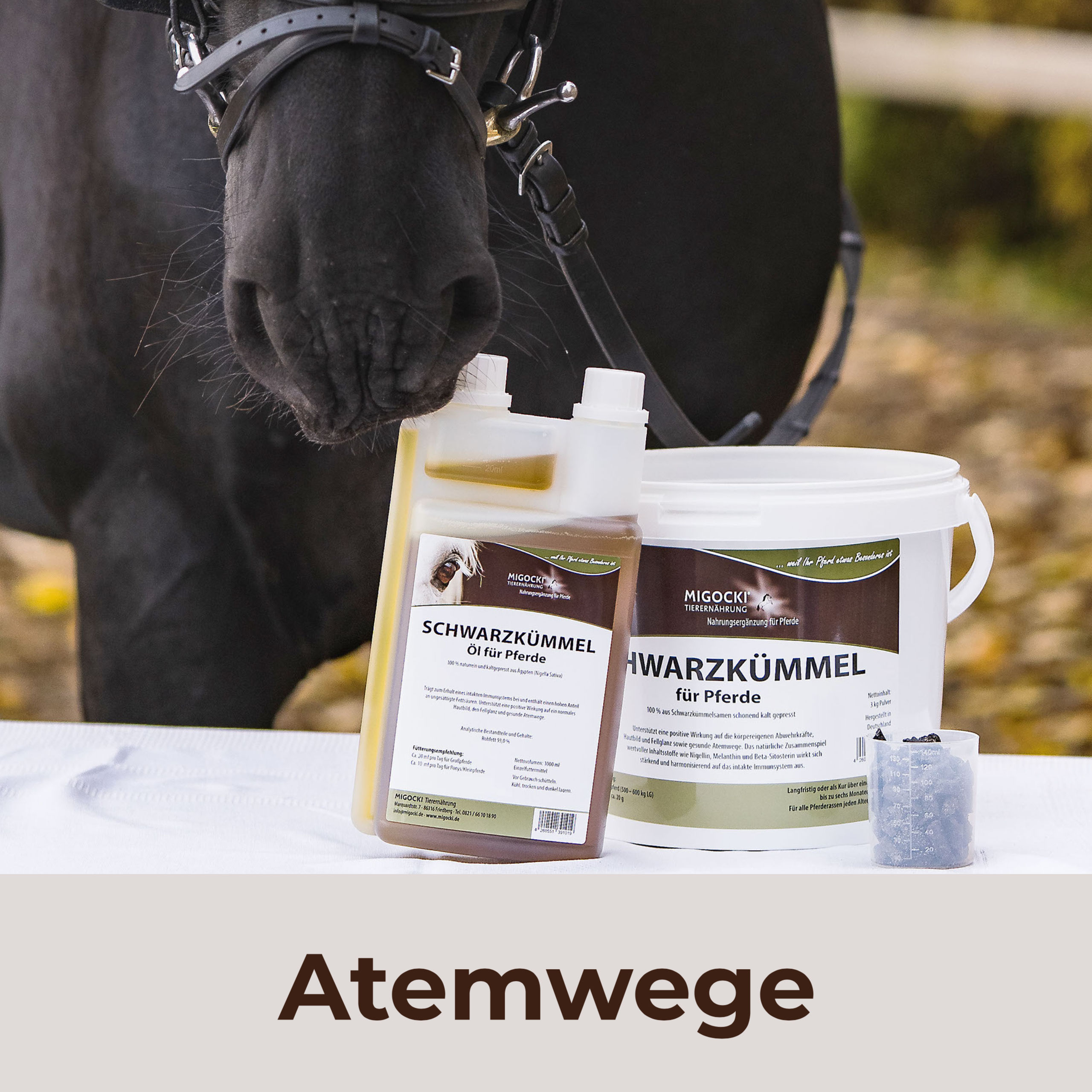 Zusatzfutter Atemwegskräuter Hustenkräuter Pferd