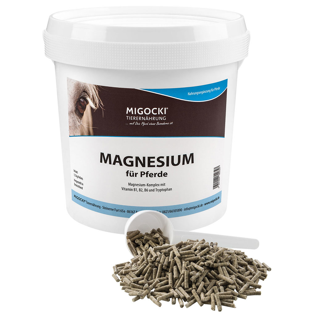 Magnesium für Pferde Zusatzfutter