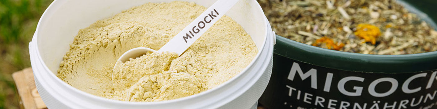 Bockshornklee für Pferde 