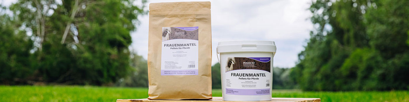 Frauenmantel für Pferde 