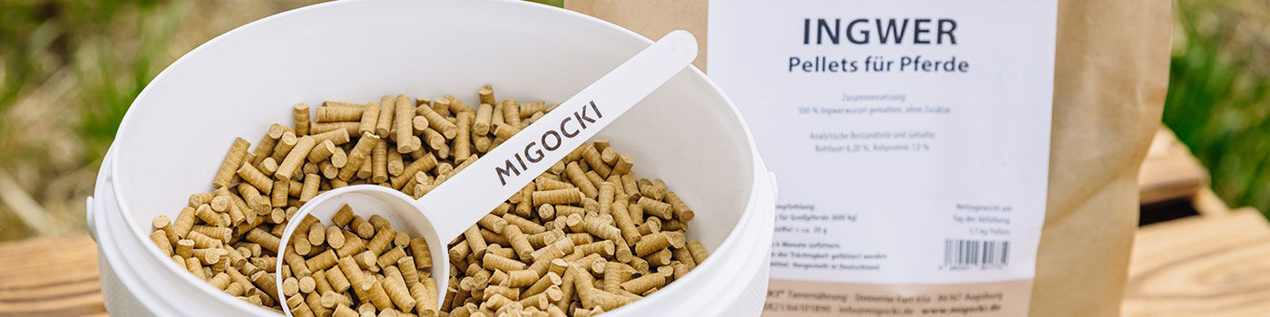 Ingwer für Pferde 