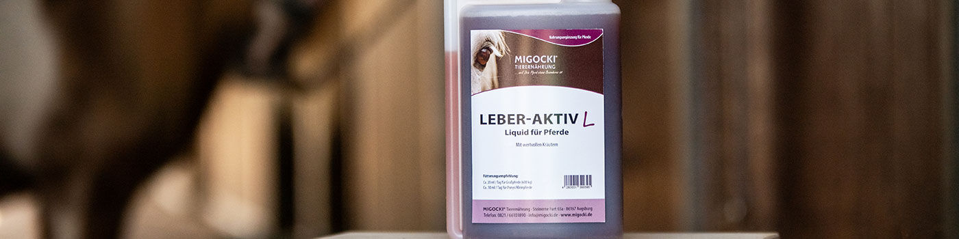 Leber Aktiv Liquid für Pferde Lebersaft