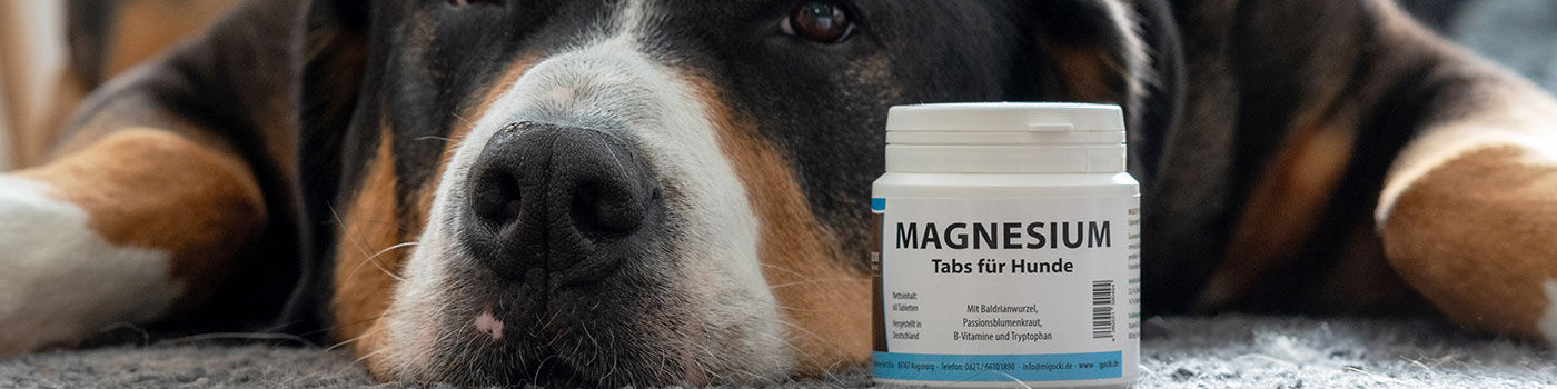 Magnesium Tabletten für Hunde