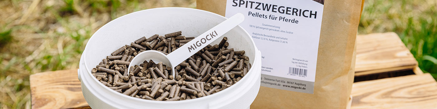 Spitzwegerich für Pferde 