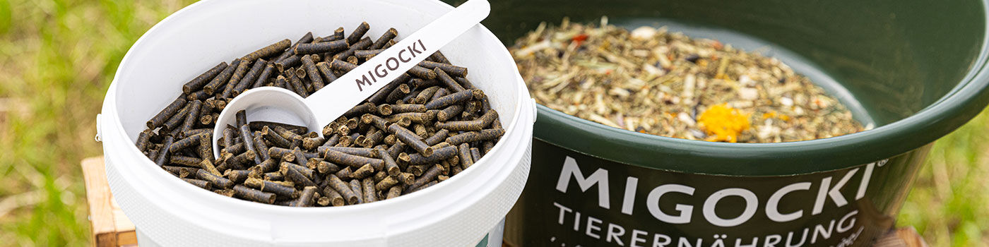 Weissdorn für Pferde 