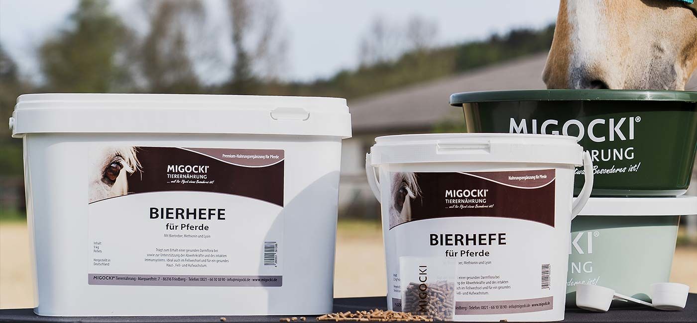 MIGOCKI Bierhefe für Pferde