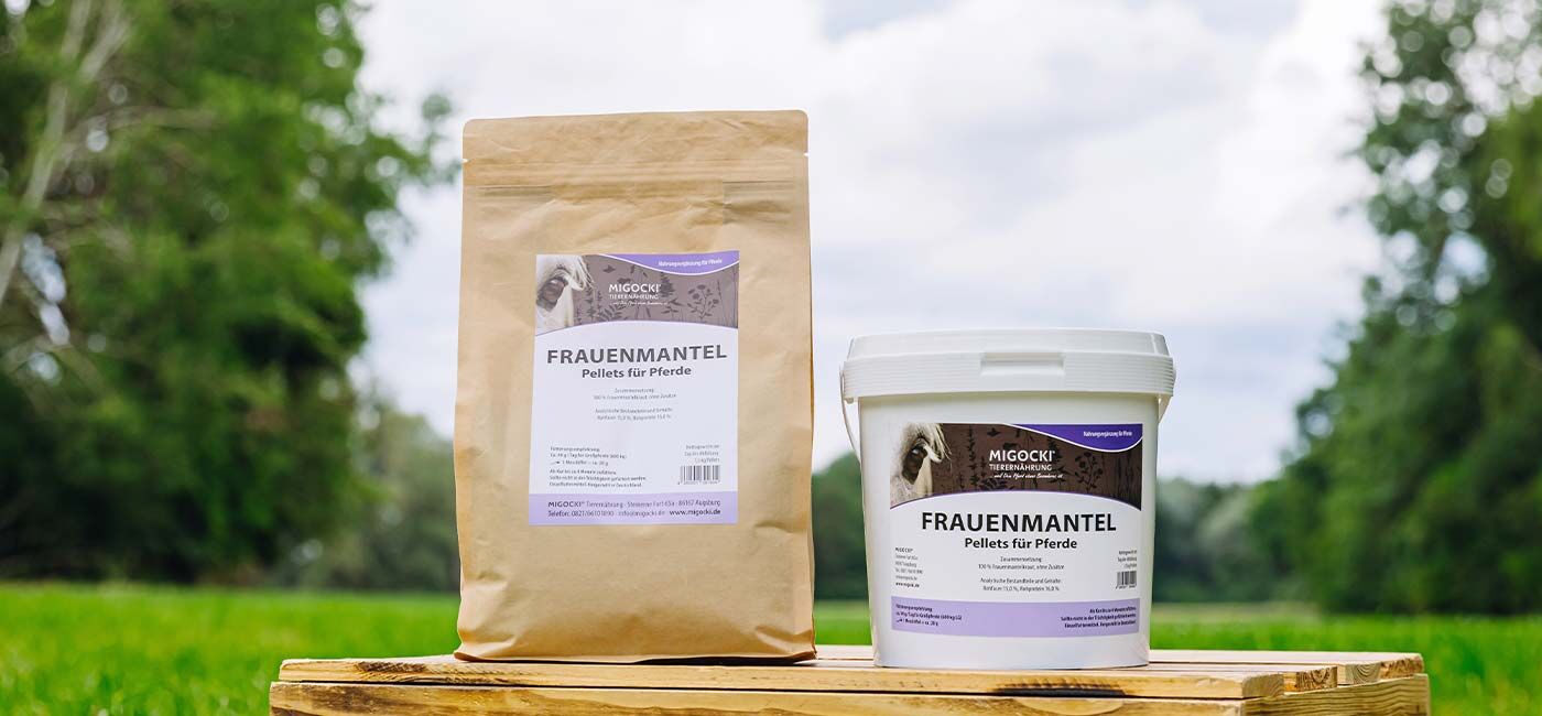 Frauenmantel für Pferde