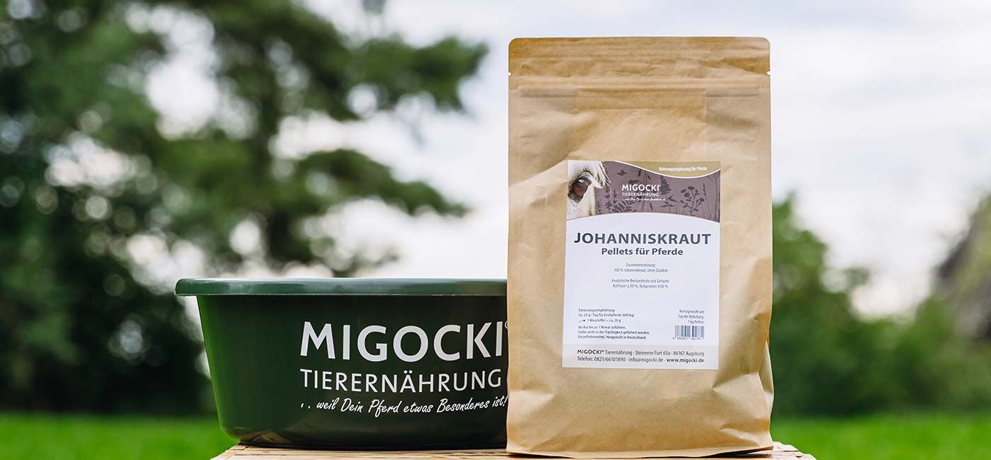Johanniskraut für Pferde