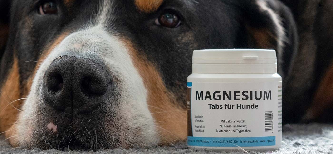 Magnesium Tabletten für Hunde