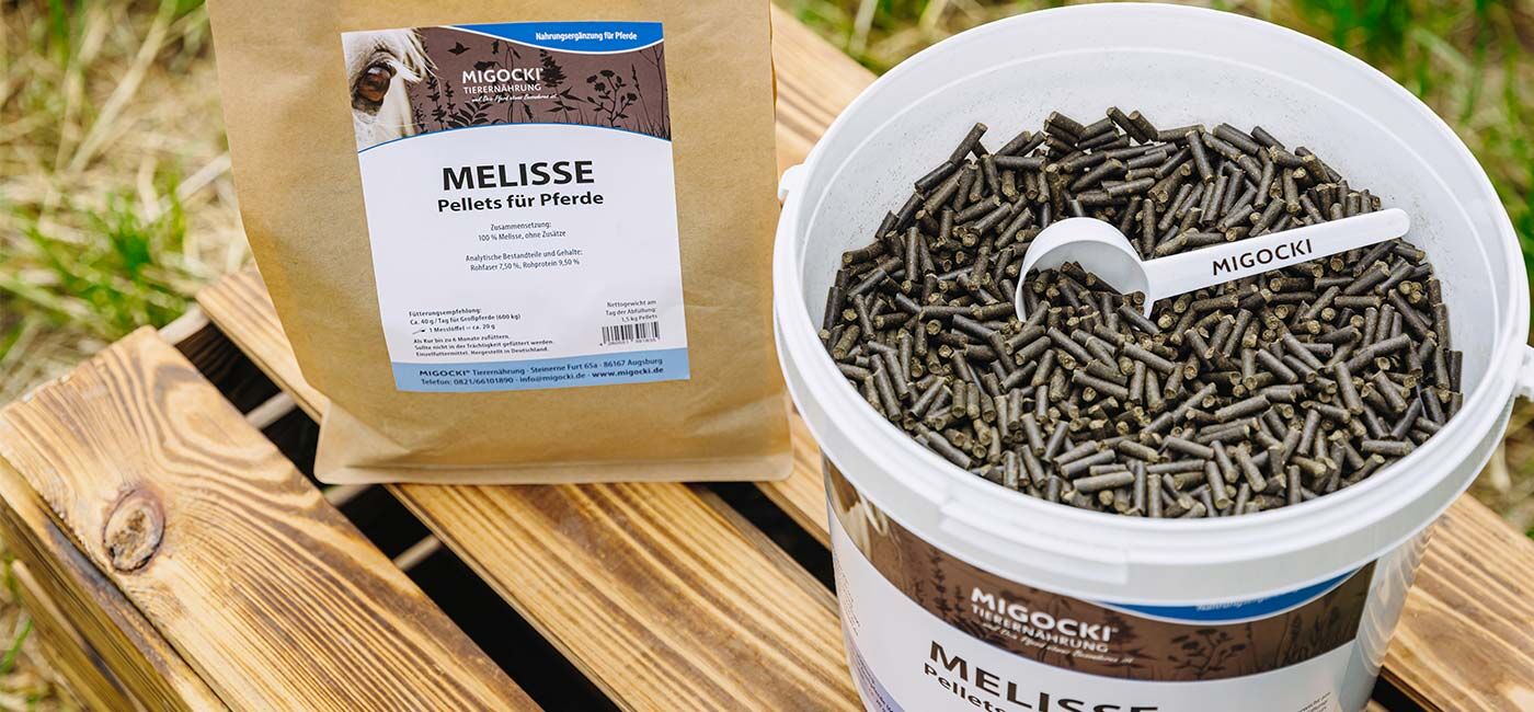 Melisse für Pferde