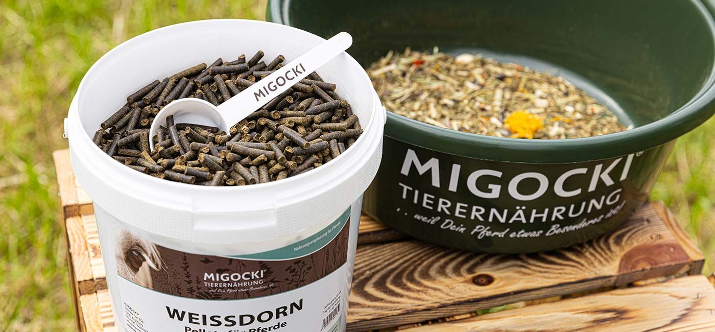Weissdorn für Pferde