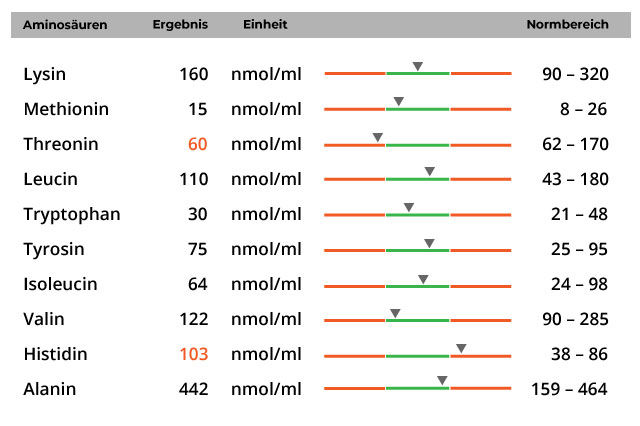 Aminosäuren für Pferde: Ab wann besteht ein Aminosäure-Mangel?
