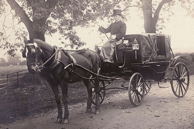 Zur Entstehung und Entwicklung der Zucht von Pferden