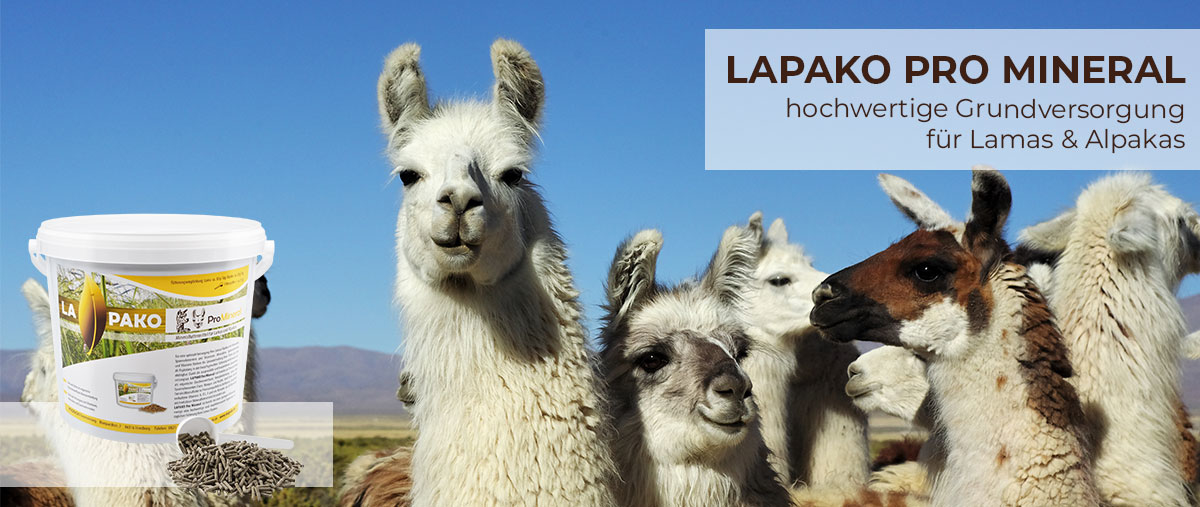 Mineralfutter LAPAKO für Lamas und Alpakas
