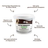 AKTIV MINERAL SENIOR Hochwertiges Mineralfutter für...