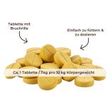 Vitamin B-KOMPLEX für Hunde - Nervensystem Tabletten