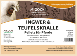 INGWER & TEUFELSKRALLE für Pferde - Kräuter Gelenke