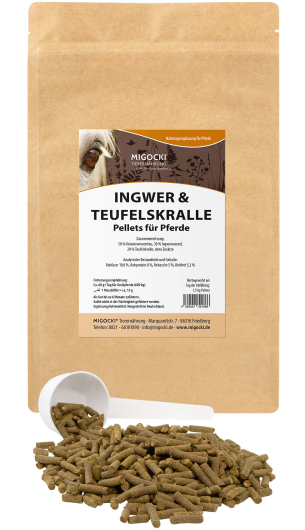 INGWER & TEUFELSKRALLE für Pferde - Kräuter Gelenke 1,5 kg Beutel