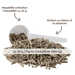 ZINK für Pferde - Pellets für Immunsystem & Fellwechsel 750g