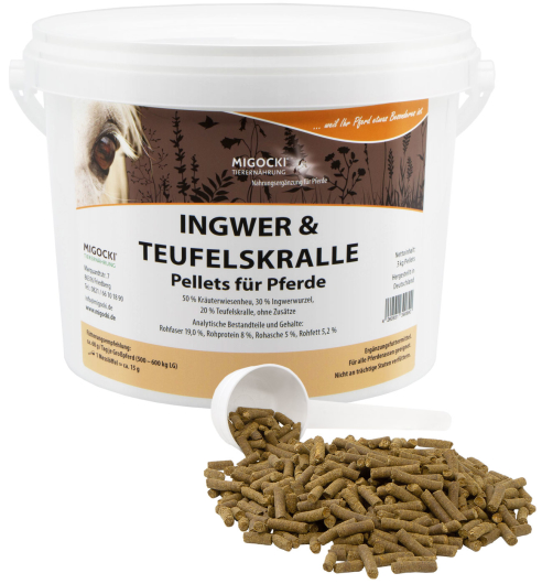 INGWER & TEUFELSKRALLE für Pferde - Kräuter Gelenke 3,0 kg Eimer