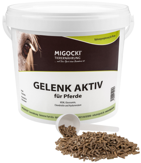 GELENK AKTIV für Pferde - MSM und Hyaluronsäure 3 kg Eimer mit Messlöffel