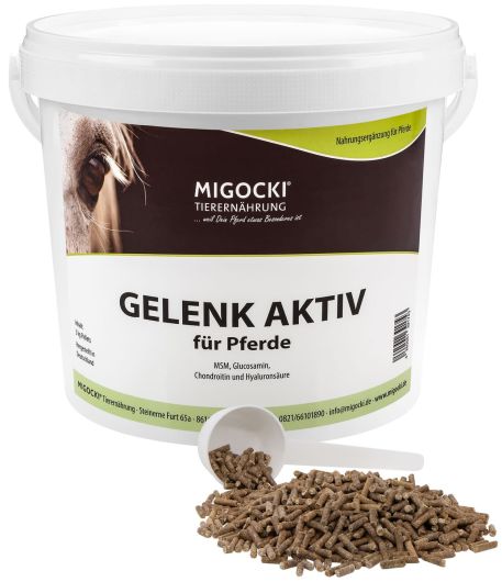 GELENK AKTIV für Pferde - Glucosamin, MSM, Hyaluronsäure 3kg