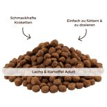 Lachs & Kartoffel - Adult